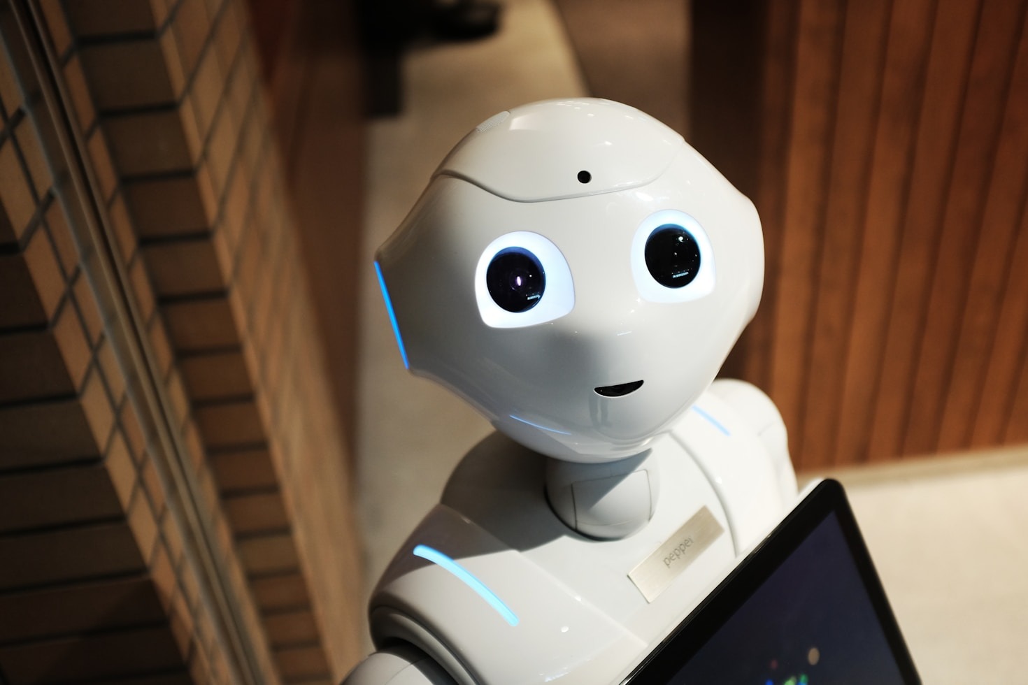 Why Personalized AI Privacy Matters for Users